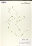 000039712-thumbnail.jpg