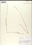000039714-thumbnail.jpg