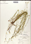 000039715-thumbnail.jpg