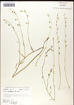 000039717-thumbnail.jpg