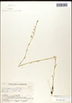 000039718-thumbnail.jpg