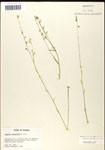 000039719-thumbnail.jpg