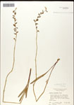000039721-thumbnail.jpg