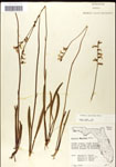 000039722-thumbnail.jpg