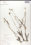 000039725-thumbnail.jpg