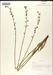000039727-thumbnail.jpg