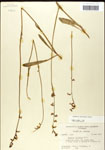 000039728-thumbnail.jpg