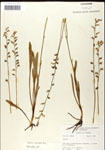 000039729-thumbnail.jpg