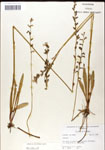 000039730-thumbnail.jpg