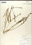 000039731-thumbnail.jpg