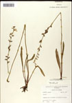 000039732-thumbnail.jpg