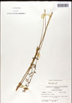 000039733-thumbnail.jpg
