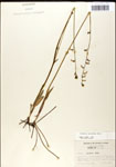 000039738-thumbnail.jpg