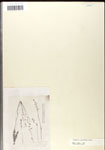 000039739-thumbnail.jpg