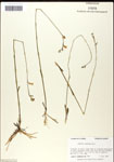 000039740-thumbnail.jpg