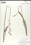 000039741-thumbnail.jpg