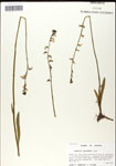 000039742-thumbnail.jpg