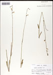 000039743-thumbnail.jpg