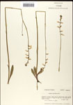 000039747-thumbnail.jpg