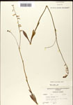 000039748-thumbnail.jpg