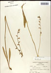 000039752-thumbnail.jpg