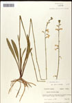 000039754-thumbnail.jpg
