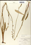000039755-thumbnail.jpg