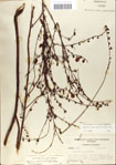 000039802-thumbnail.jpg