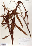 000039965-thumbnail.jpg