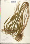000041302-thumbnail.jpg