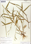 000044217-thumbnail.jpg