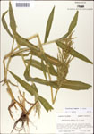 000044238-thumbnail.jpg