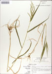 000044250-thumbnail.jpg