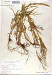 000044255-thumbnail.jpg