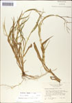 000044257-thumbnail.jpg