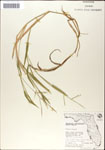 000044260-thumbnail.jpg