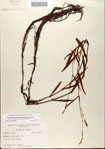 000045000-thumbnail.jpg