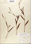 000045001-thumbnail.jpg