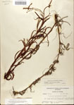 000045002-thumbnail.jpg