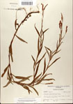 000045003-thumbnail.jpg