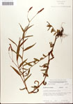 000045004-thumbnail.jpg