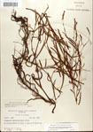 000045005-thumbnail.jpg