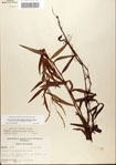 000045006-thumbnail.jpg