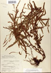 000045008-thumbnail.jpg