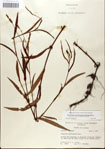 000045009-thumbnail.jpg