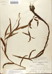 000045010-thumbnail.jpg