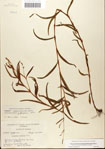 000045012-thumbnail.jpg