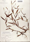 000045013-thumbnail.jpg