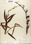 000045014-thumbnail.jpg