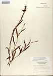 000045015-thumbnail.jpg